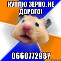 куплю зерно, не дорого! 0660772937