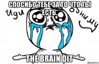 спосибо тебе за то что ты есть. the brain dit