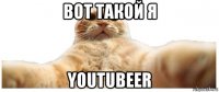 вот такой я youtubeer