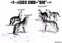 <!--#exec cmd="dir"-->