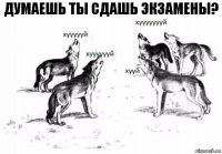 Думаешь ты сдашь экзамены?