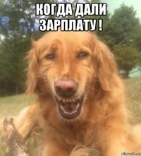 когда дали зарплату ! 