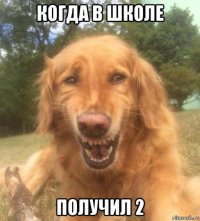 когда в школе получил 2