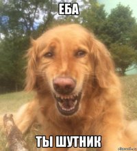 еба ты шутник