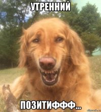 утренний позитиффф...