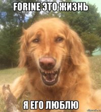 forine это жизнь я его люблю