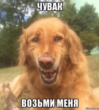 чувак возьми меня