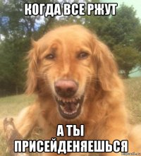 когда все ржут а ты присейденяешься