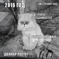 2016 год Бензин дорожает Рубль обесценивается Доллар растет  Ужесточают ПДД    