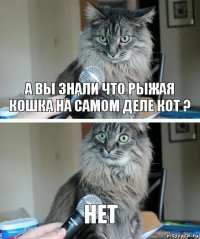 А Вы знали что рыжая кошка на самом деле кот ? НЕТ