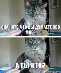 Скажите, что вы думаете обо мне? А ты кто?