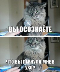 Вы осознаёте Что вы пернули мне в ухо?