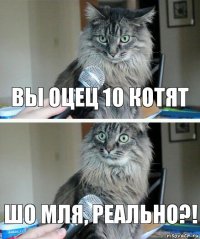 Вы оцец 10 котят Шо мля, реально?!