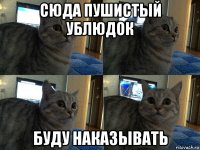 сюда пушистый ублюдок буду наказывать