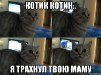 котик котик.. я трахнул твою маму