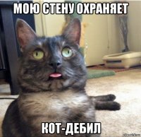 мою стену охраняет кот-дебил