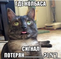 где колбаса сигнал потерян.................,?);%"!