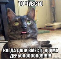 то чувсто когда дали вместо корма дерьоооооооо!!!!!!!!