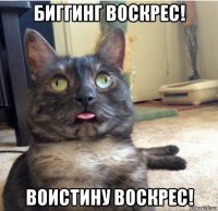 биггинг воскрес! воистину воскрес!