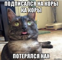 подписался на коры ка коры потерялся нах