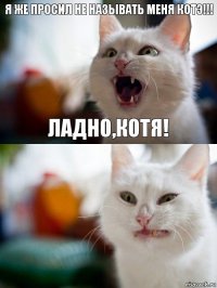 я же просил не называть меня Котэ!!! ладно,котя!