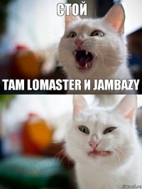 Стой там lomaster и jambazy