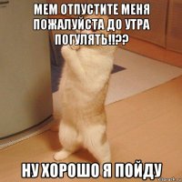 мем отпустите меня пожалуйста до утра погулять!!?? ну хорошо я пойду