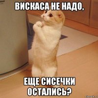 вискаса не надо, еще сисечки остались?