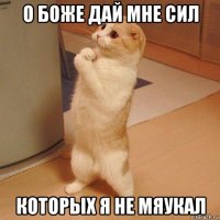 о боже дай мне сил которых я не мяукал