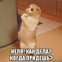  неля! как дела? когда придёшь?