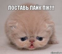 Поставь лайк пж!!!