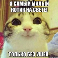 я самый милый котик на свете! только без ушей.