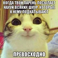 когда твой парень посылает нахуй всяких шкур, которые к нему подкатывают превосходно