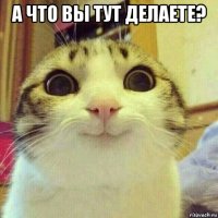 а что вы тут делаете? 