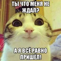 ты что меня не ждал? а я всё равно пришёл!