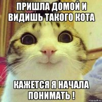 пришла домой и видишь такого кота кажется я начала понимать !