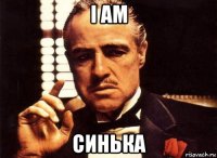 i am синька