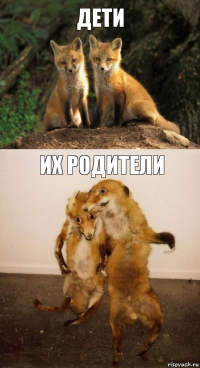 Дети Их родители