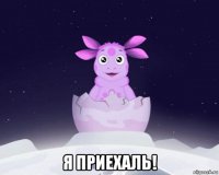  я приехаль!