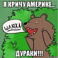 я кричу америке... дураки!!!