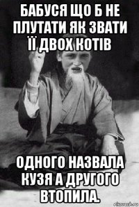 бабуся що б не плутати як звати її двох котів одного назвала кузя а другого втопила.