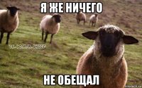 я же ничего не обещал