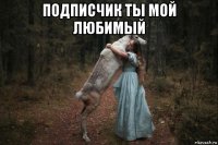 подписчик ты мой любимый 