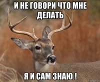 и не говори что мне делать я и сам знаю !