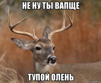 не ну ты вапще тупой олень