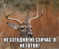  не сегодня, не сейчас. я не готов!