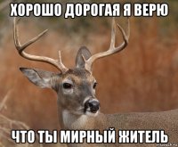 хорошо дорогая я верю что ты мирный житель