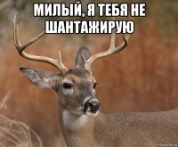 милый, я тебя не шантажирую 