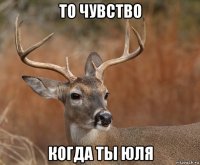 то чувство когда ты юля