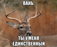 вань, ты у меня единственный